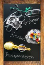 Infobanner Einfluss auf Tiere Infobanner Einfluss auf Tiere