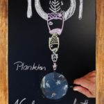 Infobanner zur Nahrungskette Infobanner zur Nahrungskette