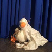 Ente - in Plastik verheddert Ente - in Plastik verheddert