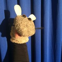 Ronnie, die Wanderratte Ronnie, die Wanderratte