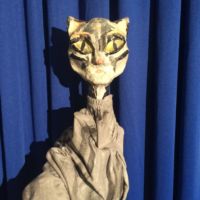 Wilma, die Katze Wilma, die Katze